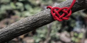 Rotes Seil ist mit einem komplexen Knoten an einen Ast gebunden.